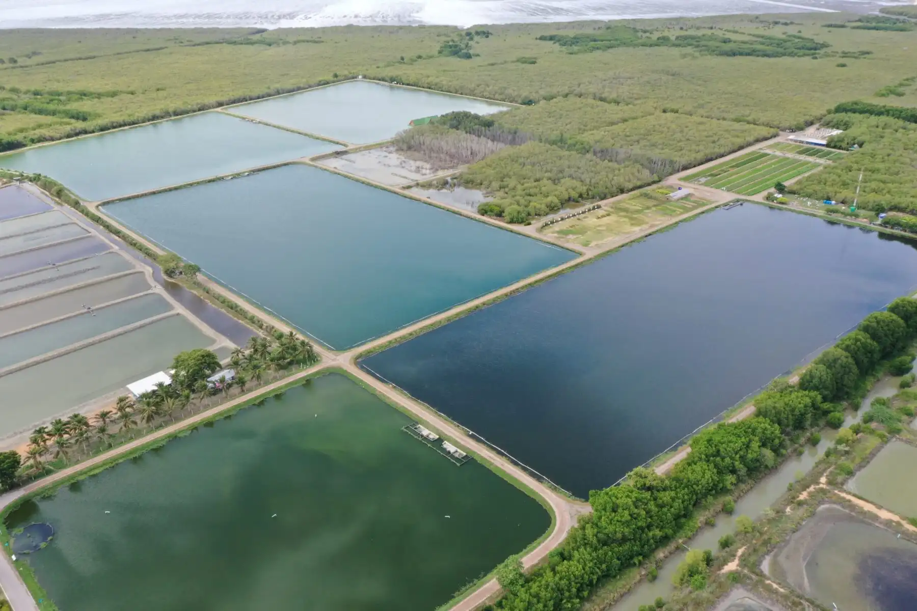 ระบบบ่อบำบัดธรรมชาติ ใช้กระบวนการธรรมชาติในการบำบัดน้ำเสีย